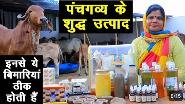 Desi Cow