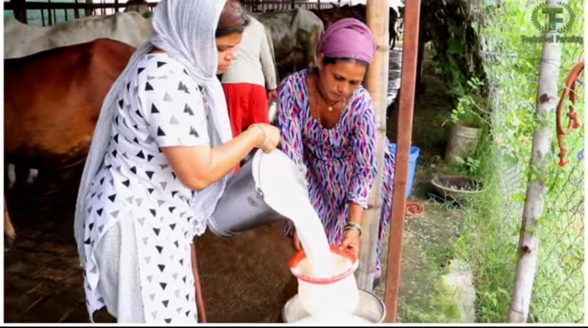 Cow Product