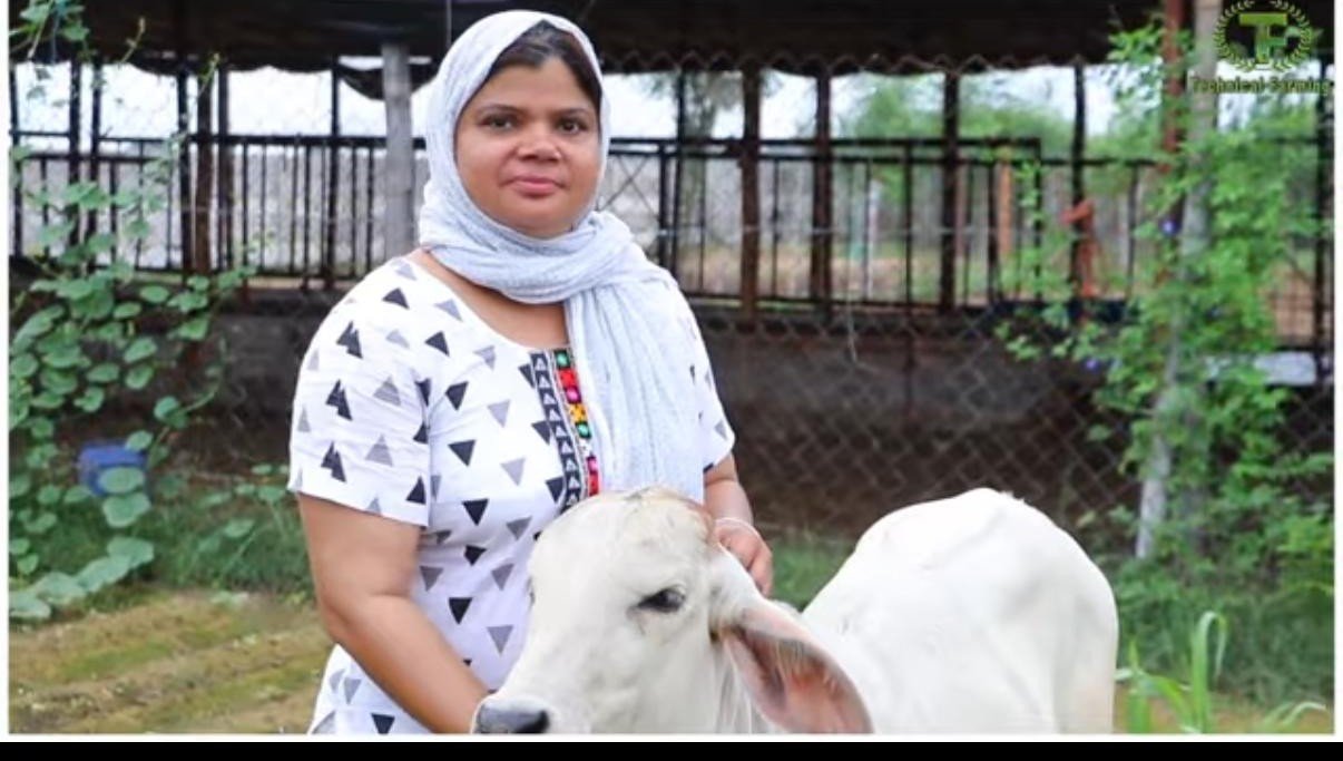 Cow Product